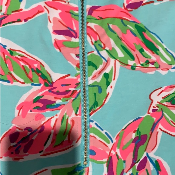 Lilly Pulitzer Charlene dress - Picture 5 of 5